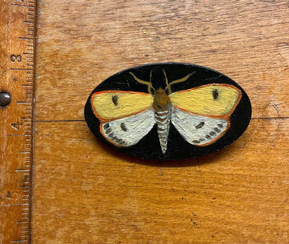 Image of Large moth brooch 