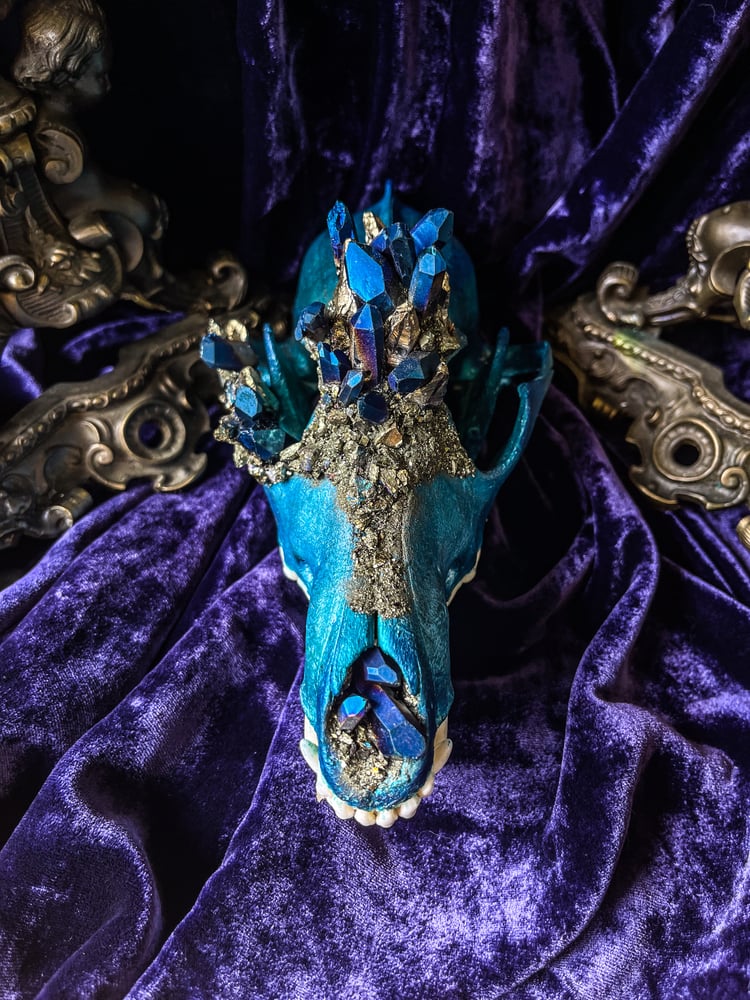 Image of Blue Titanium Quartz - Coyote Skull