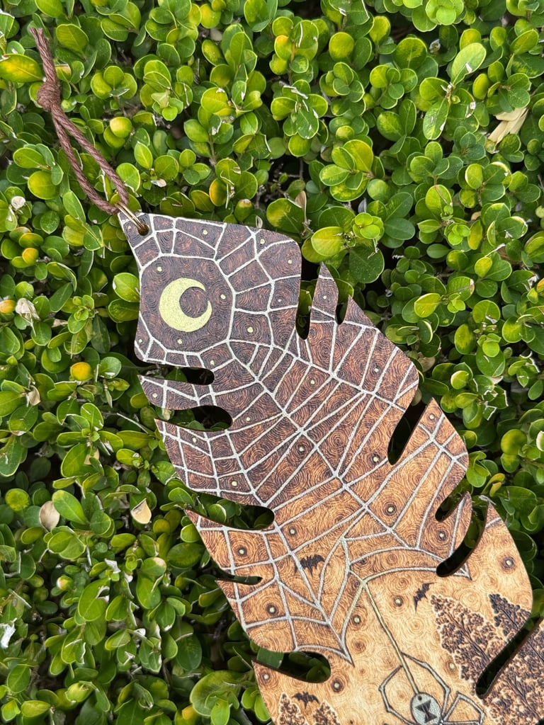 “wicked webs” Image 3