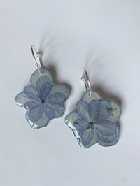 Image 2 of Hydrangea Hoops