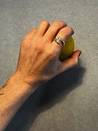 Image 3 of The Twist Ring