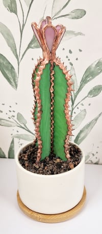 Image 1 of Stained Glass Cactus in Ceramic pot