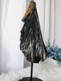 Image 2 of 4lb XL Vivianite Rare Crystal Specimen with Custom Stand