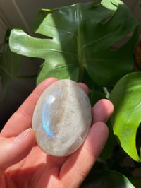 Image 5 of Moonstone Palm Crystal (8)