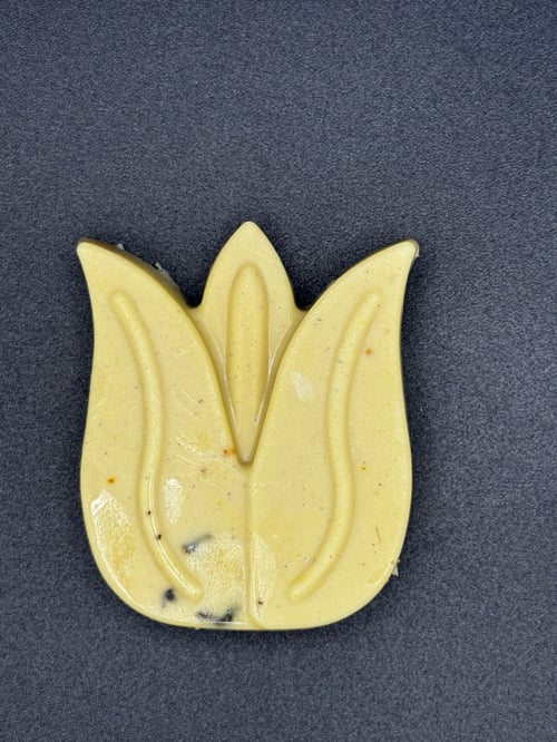 Image of Daily Body Bar 