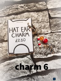 Image 15 of Ed's hats and charms