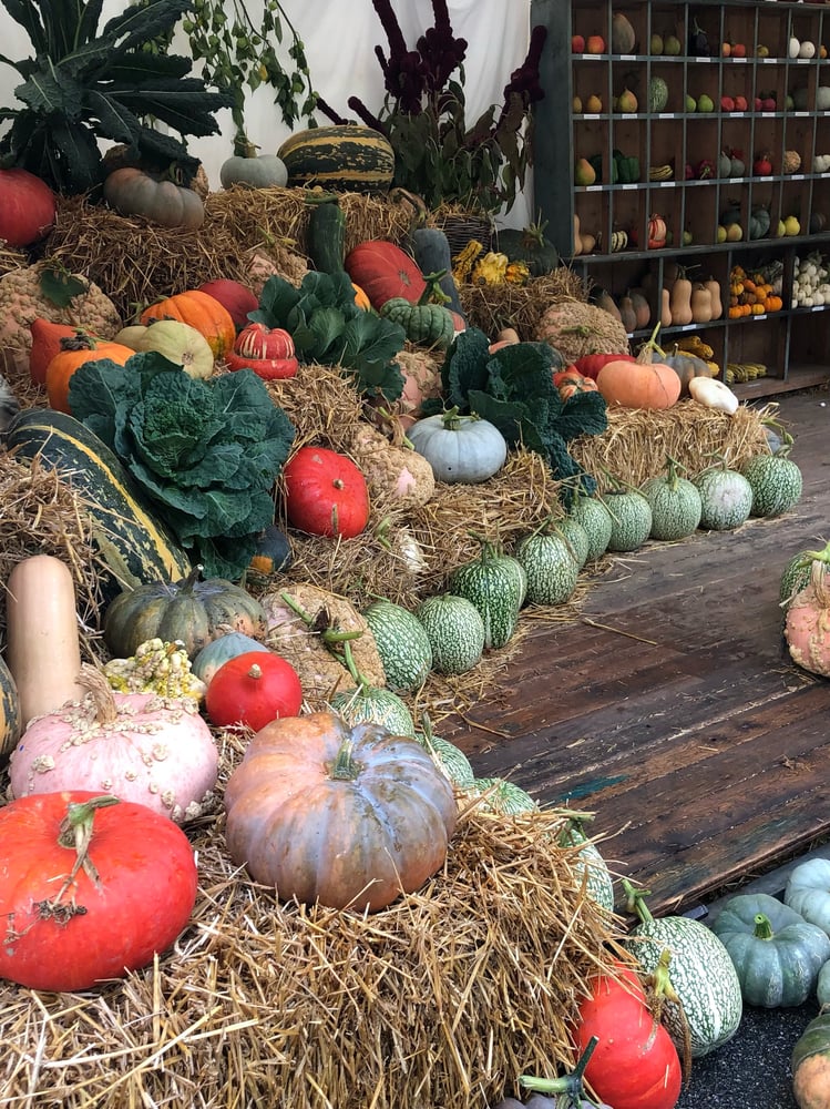 Image of 27 -28 -29 Septembre 2024 Fete Des Plantes St Jean De Beauregard Stand N 166