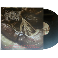 Image 1 of FLESH GRINDER / LYMPHATIC PHLEGM - "Split" 12" vinyl LP