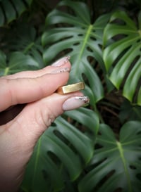Image 7 of Gold Signet Rings