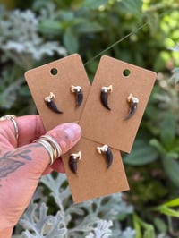 Image 2 of COYOTE CLAW STUDS