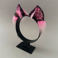 Image 2 of Pink Spider Kitten