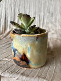 Image 2 of Chocolate Soldier kalanchoe in Handmade Glazed Pot