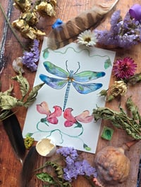 Image 1 of "Dragonfly & Sweetpea" Original