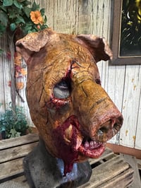 Image 3 of Boris 