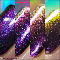 Image 5 of Glisten & Glow 13 Times Around the Sun