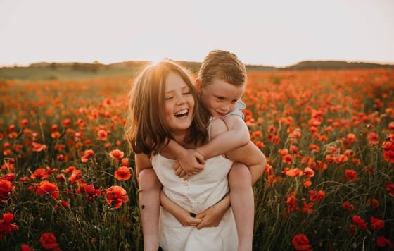 Image of Poppy field shoots 2024