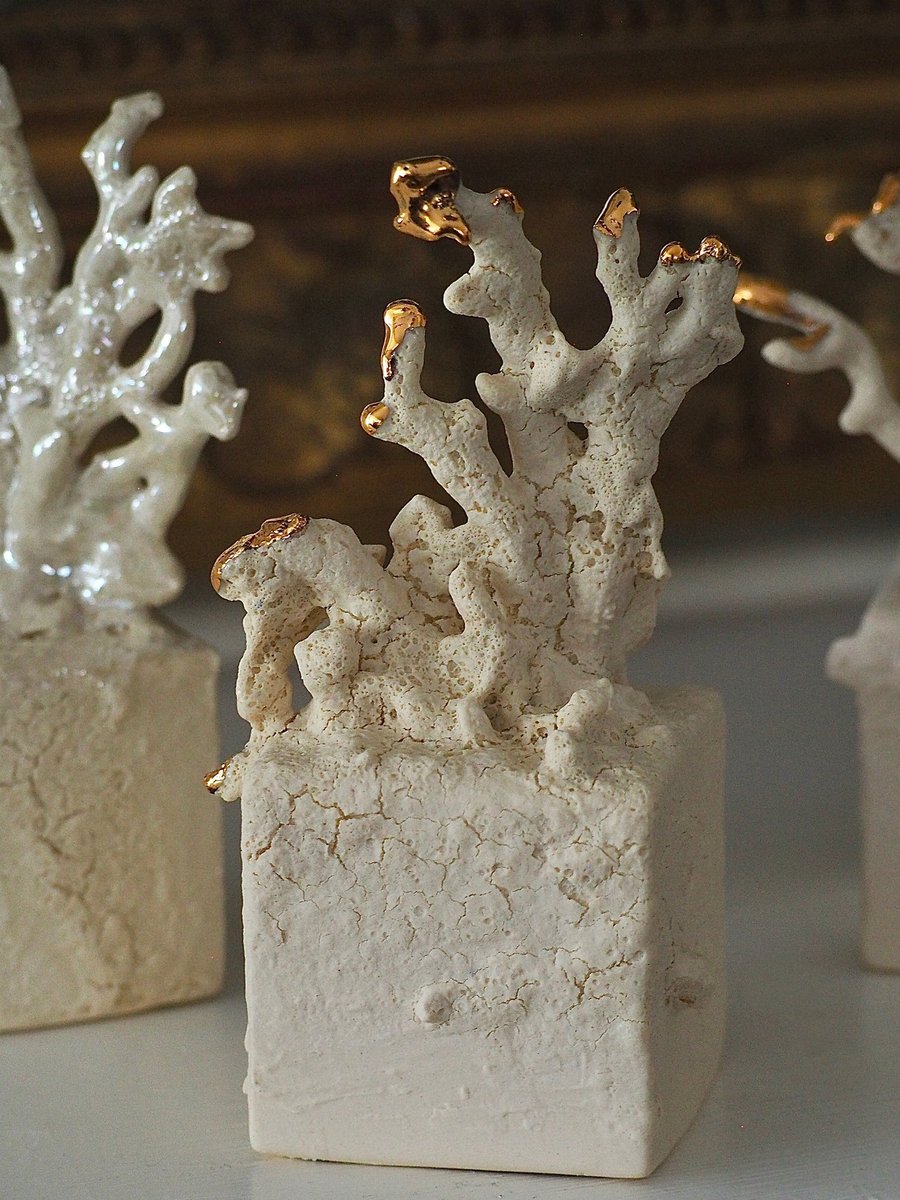 White Coral Sculptures – LouLous Decor