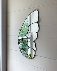 Image 3 of Fairy Wing #2