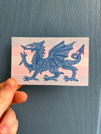 Image 1 of TRANS WELSH FLAG
