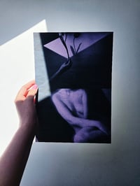Image 3 of PORTRAIT WITH A TULIP 