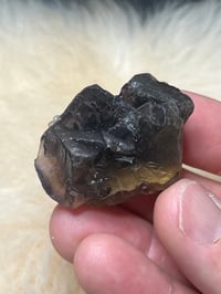 Image 6 of Pakistan Black Rose Fluorite UV Specimen #2430