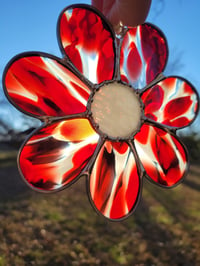 Image of Red and White Flower