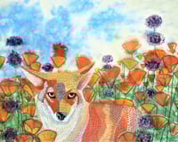 Image 1 of "Fox, Poppies, Chia" by Zasha Welsh