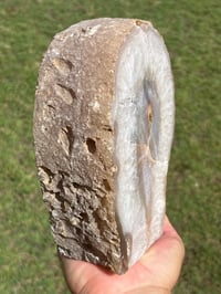 Image 5 of Agate Geode | Brazil #3036