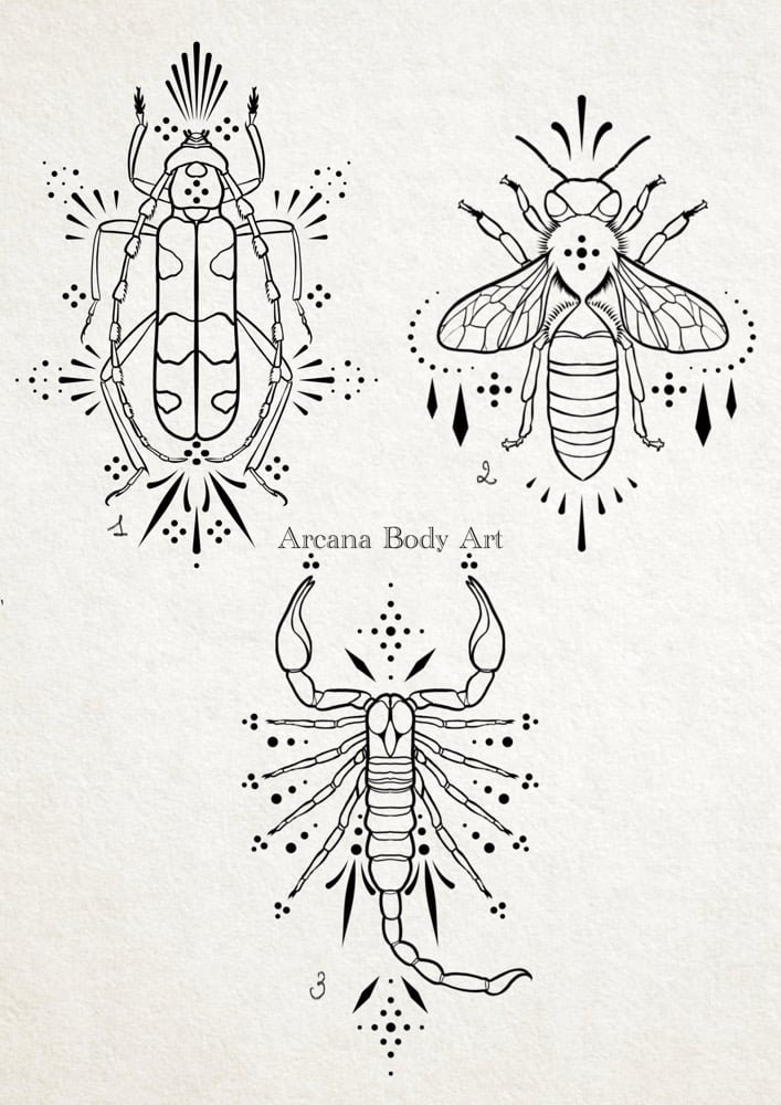 Image of Insectes Ornements