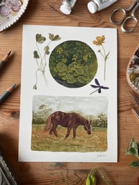 Image 1 of Horse Fine Art Print