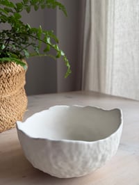 Image 2 of The Dune Bowl