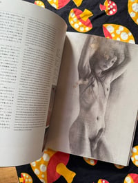 Image 2 of Can't See Anything Anyway,  Atsushi Suwa, 2011