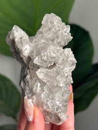 Image 2 of LINWOOD CALCITE -IOWA- J