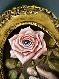 Image 4 of Rosa