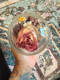 Image 2 of Fox Spine Cloche 
