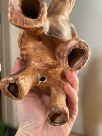 Image 5 of African Milk Tree in Ceramic Elephant