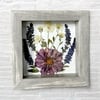 Cosmos, Veronica And Chrysanthemum Wildflowers In 6" X 6" Shadow Box (Item# 202214S)