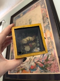 Image 2 of The Emergence