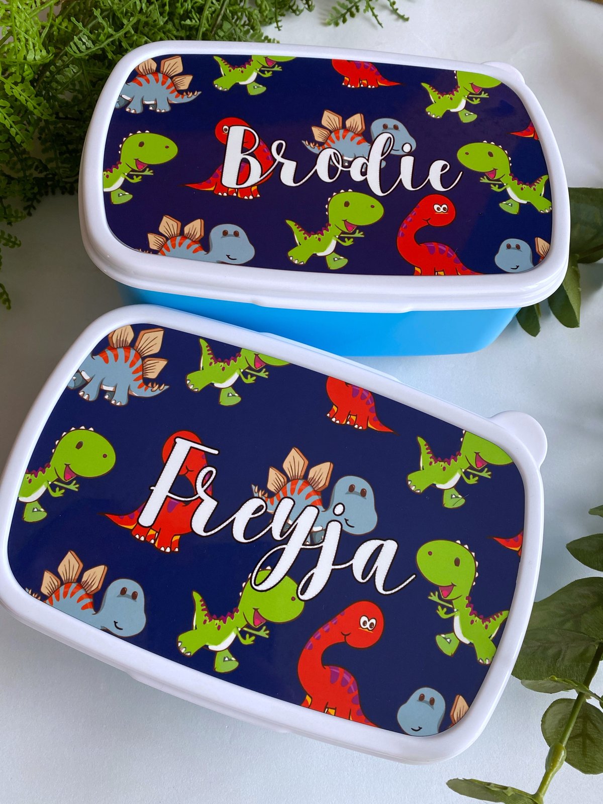 Dinosaurs Snack Boxes Bodipity