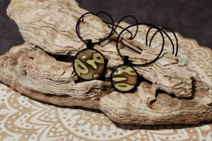 Image of Ball Python Collection