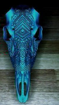 Image 10 of Deer Skull Antler Mount 11 inches