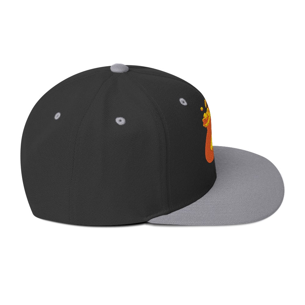 ZEN EXP - "COINS" Snapback Hat