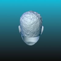 Image 4 of Hendry Unpainted