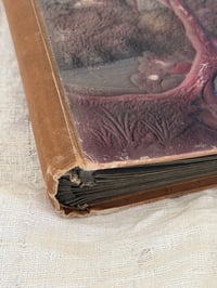 Image 6 of Anciens albums à cartes postales