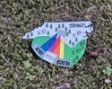 Cary, NC 2025 show pins