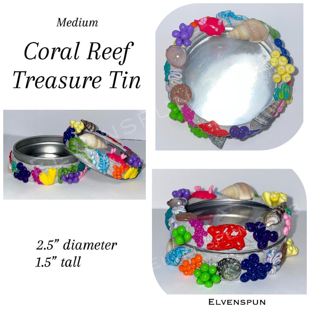 Image of Coral Reef Things