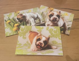 Image of Note Card Pack 2