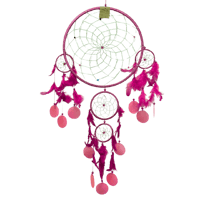 🌙✨🪶 Large Dreamcatcher🪶✨🌙