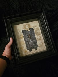 Image 8 of  Orbweaver taxidermy spider with 1800 Bible Page & Real Web