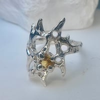 Image 1 of Sunpiercer~made to order 